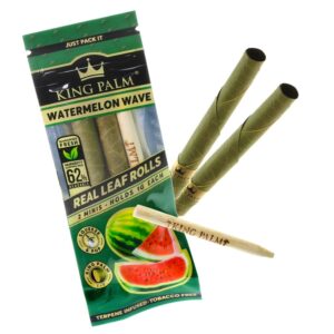 KING PALM WATERMELON WAVE