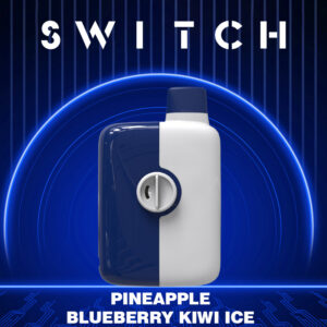 MR FOG SWITCH - PINEAPPLE BLUEBERRY KIWI ICE
