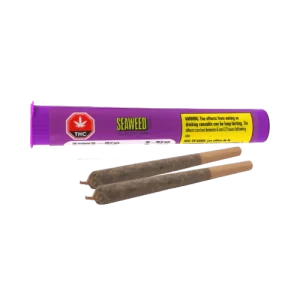 Seaweed - Full Send Fort PR2X0.5G