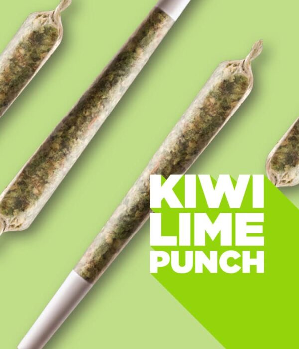 Spinach - Kiwi Lime Punch PR10X0.35G - Image 2