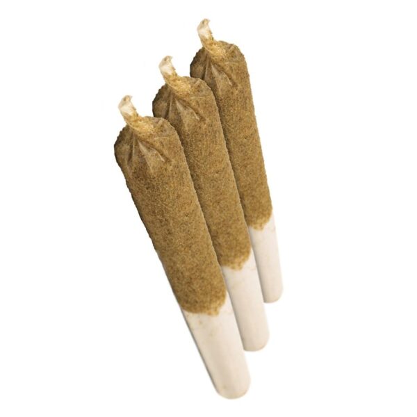 General Admission - Peach Rizz PR3X0.5G - Image 2