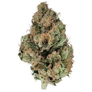 Snicklefritz – Memory Loss 3.5G