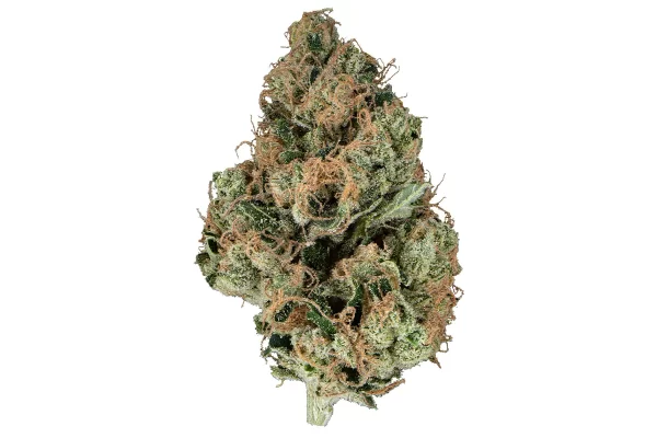 Snicklefritz – Memory Loss 3.5G