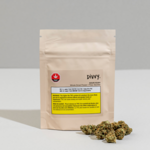Divvy - Blueberry 28G