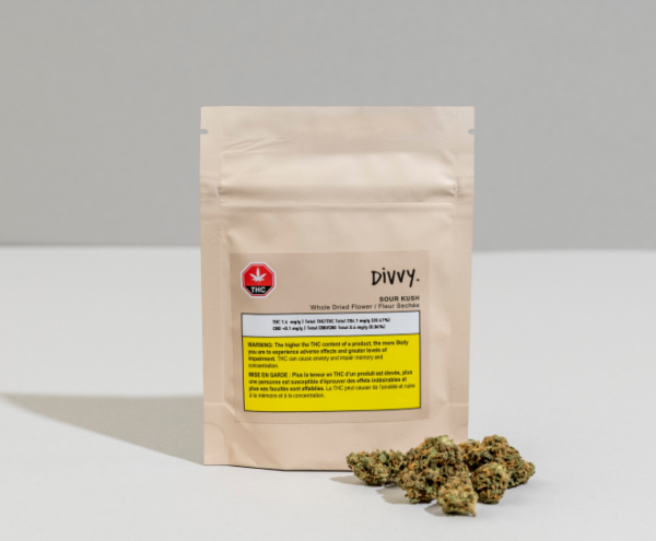Divvy - Blueberry 28G