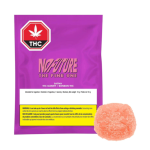 No Future - The Pink One 1X10G