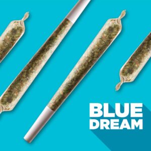 Spinach - Blue Dream PR3X0.5G