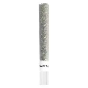 Tantalus - Mai Tai X Zero G Diamond Infused  PR1X1G