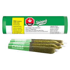 Spinach - Fully Charged Wavy Watermelon Infused PR5X0.5G