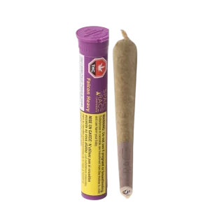 Space Race - Falcon Heavy PR1X1G