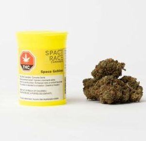 Space Race - Space Goblins 3.5G