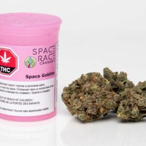 Space Race - Space Goblins 3.5G