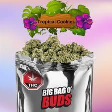 Big Bag O' Buds - Tropical Cookies 28G