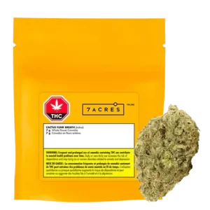 7 Acres - Cactus Funk 7G