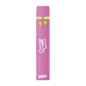 Papa's Herb - RNTZ THC Disposable Vape 1G