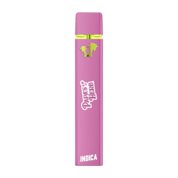 Papa's Herb - RNTZ THC Disposable Vape 1G
