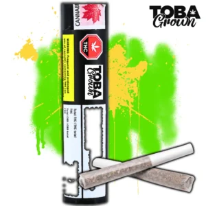 Toba Grown - Maple Twist Hybrid PR2X1G