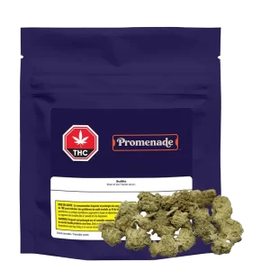 Promenade - Buddies (Pink God) 7G