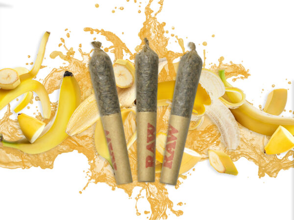 Dab Bods - Baja Banana Disti Joints PR3X0.5G