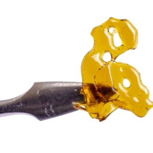 Dab Bods - Blueberry Shatter 1G