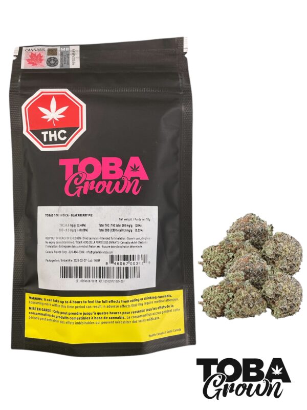 Toba Grown - Pineapple Pie 10G