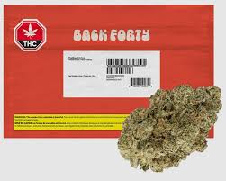 Back Forty - Fire Breath 28G