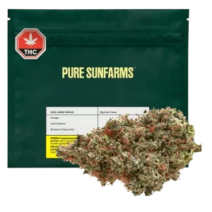 Pure SunFarms - Neon Lambo 28G