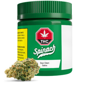 Spinach - Sour Chem (Chemdawg X Sour Diesel) 3.5G