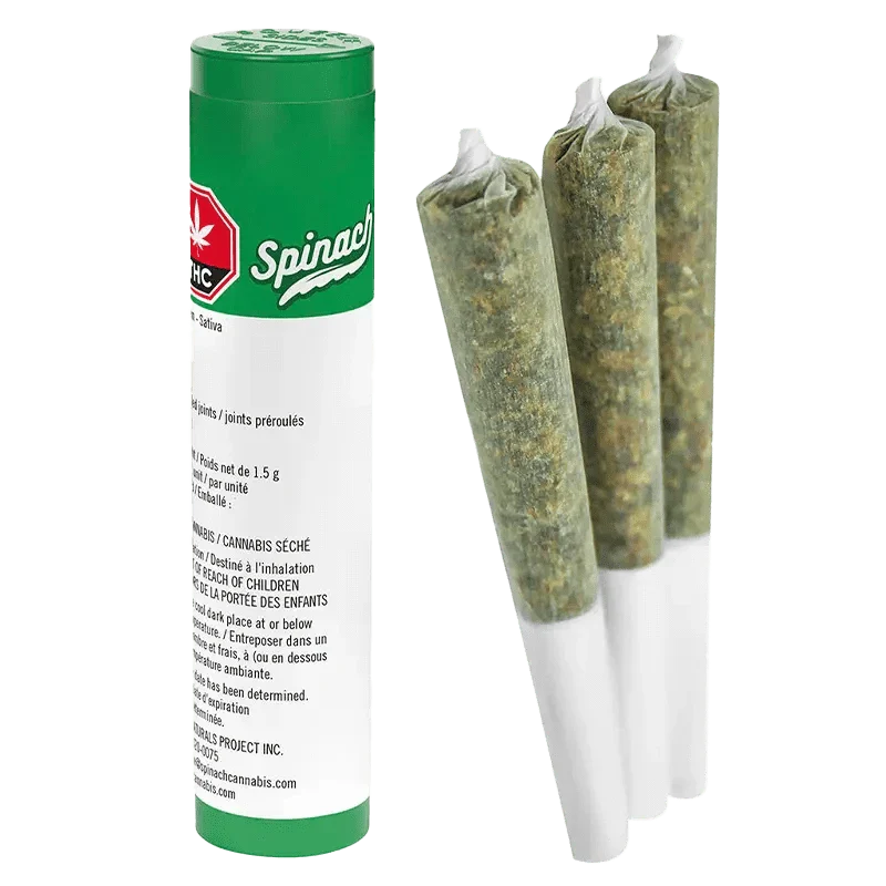 Spinach - Sour Chem PR3X0.5G