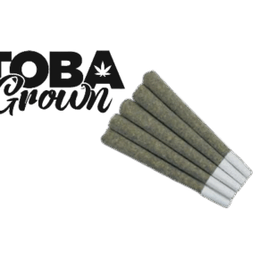 Tobagrown - Tobies Sativa (Strawbeery Kush Cake) PR5X1G