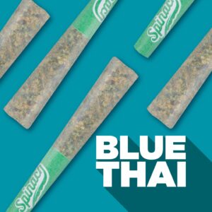 Spinach - Blue Thai  PR3X0.5G