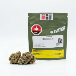 Elevator - Motorhead 3.5G