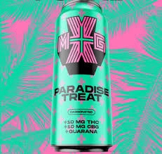 XMG+ - Paradise Treat 355ML