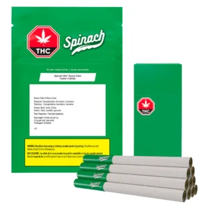 Spinach - Stix Space Cake PR10X0.4G