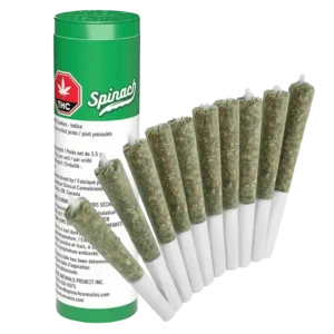 SPinach - GMO Cookies PR10X0.35G