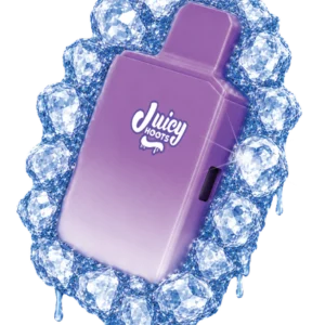 Juicy Hoots - Melon Gulp Diamond Dzizzle THC Disposable Vape 1G