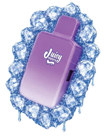 Juicy Hoots - Melon Gulp Diamond Dzizzle THC Disposable Vape 1G