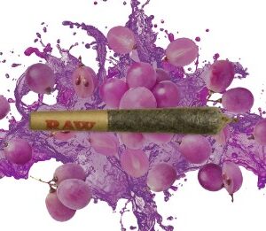 Dab Bods - Purple Sunset Infused PR1X0.7G