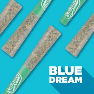 SPINACH - BLUE DREAM PR3x0.5G