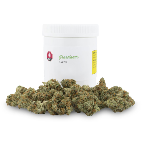 Grasslands - SATIVA 28g
