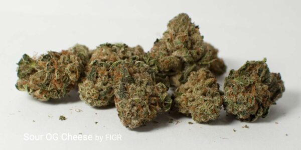 FIGR - GO CHILL SOUR OG CHEESE 3.5g - Image 2