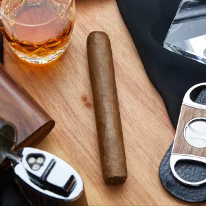 JUNCTION ROBUSTO