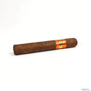 Don Tomas Honduras Churchill