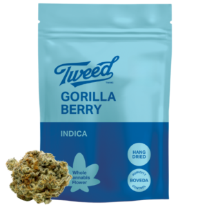 TWEED - GORILLA BERRY 14G
