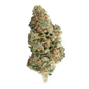 ELEVATOR - STRAWBERRY DREAM 28G