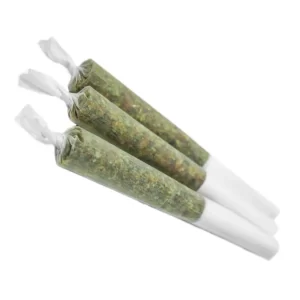 SPINACH - GMO COOKIES PR3X0.5G