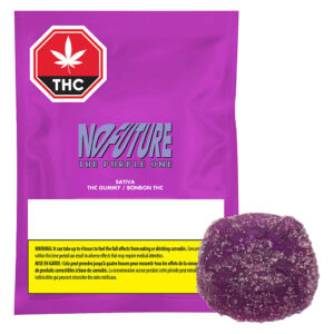 NO FUTURE - THE PURPLE ONE SATIVA 1X10G
