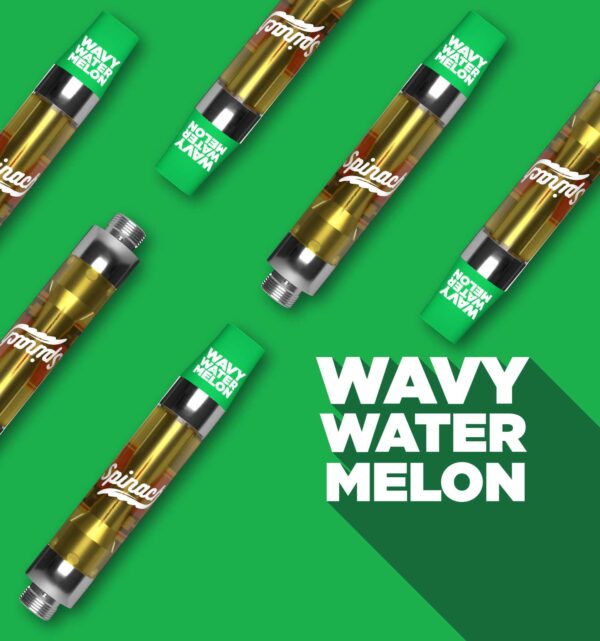 SPINACH - WAVY WATERMELON 1.2G