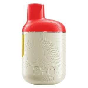 BACK FORTY - WATERMELON ICE AIO 0.95G DISPOSABLE SATIVA