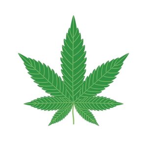 MIDS - SATIVA SATFLW 7G